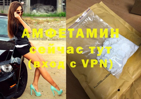гашик Алексеевка