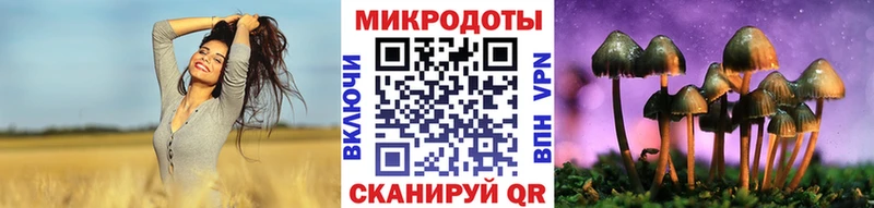 что такое наркотик Щигры Псилоцибиновые грибы Cubensis